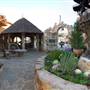 The Oasis
