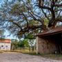 Chick Ranch
