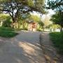 Hike & Bike Trail at Lady Bird Lake