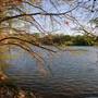 Hike & Bike Trail at Lady Bird Lake