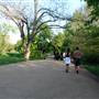 Hike & Bike Trail at Lady Bird Lake