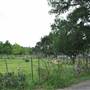Phil Hardberger Park