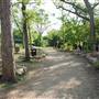 Rio Vista Park