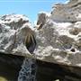 McKinney Falls State Park