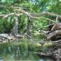 McKinney Falls State Park
