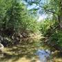 McKinney Falls State Park