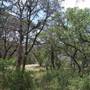 Eisenhower Park