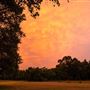 The Oaks of Anahuac