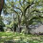 The Oaks of Anahuac