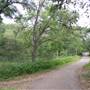 McAllister Park