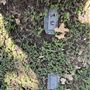 Mount Olive Historic Cemetery