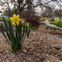 Quakertown Park