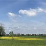 Evans Ranch