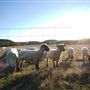 Four Winns Ranch