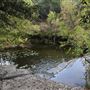 Hamilton Greenbelt Park
