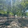 Dallas College - Richland Campus