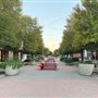 Dallas Farmers Market