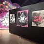 Gallery DeFi