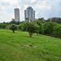 Buffalo Bayou Park