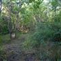 The Oaks of Anahuac