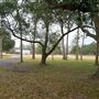 The Oaks of Anahuac