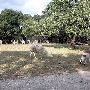 Enchanted Springs Ranch