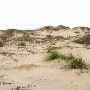 Boca Chica Beach & Dunes