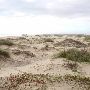 Boca Chica Beach & Dunes