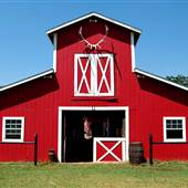 JR Stables