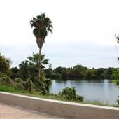 Fiesta Gardens