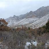 Guadalupe Mountains National Park - Pine Springs Canyon (Winter / Snow)