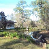 Japanese Garden in Hermann Park