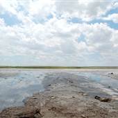 Muleshoe National Wildlife Refuge