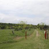 Cedar Hill State Park - Talala Trail