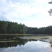 Faulkner Park