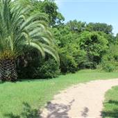 Robinson Park