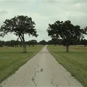 Cypress Ranch