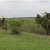 Mesquite Ranch