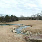 Hyatt Regency Lost Pines Resort & Spa - Wolfdancer Golf Club