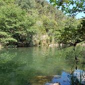 Red Bud Isle