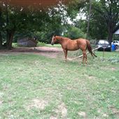 Davis Ranch