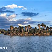 Rancho El Charco - Palapa Island
