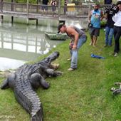 Gator Country