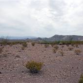 FM 169 to Casa Piedras