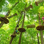 Go Ape Zipline and Adventure Park