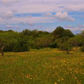 K4 Ranch