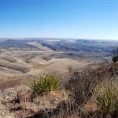 Cibolo Creek Ranch