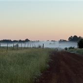 Pinehurst Farm