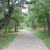 McAllister Park