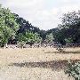 Storm Ranch